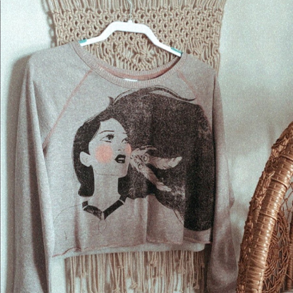 Pochahontace Disney cropped sweater!